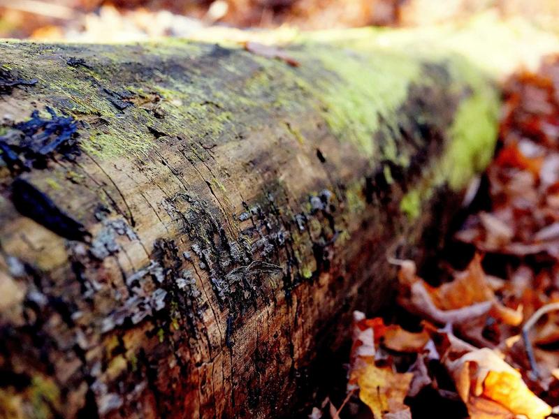 sudoku training mode screenshot 4